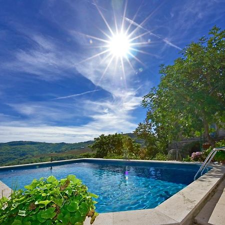 Villa Fragola Motovun Buitenkant foto