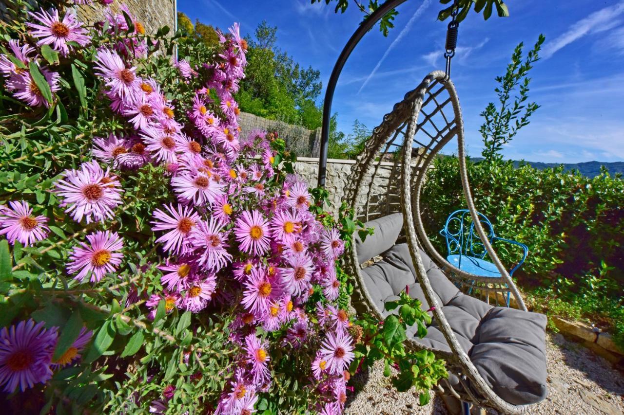Villa Fragola Motovun Buitenkant foto