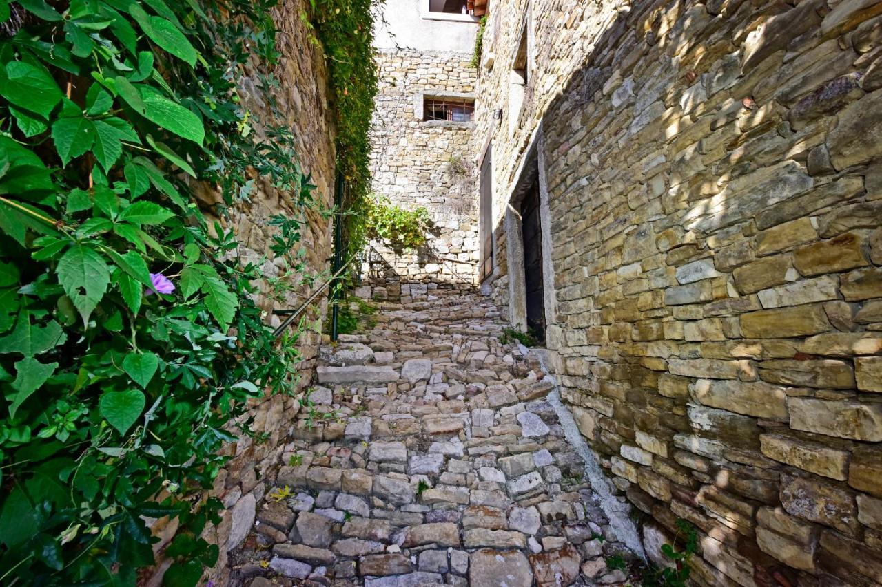 Villa Fragola Motovun Buitenkant foto