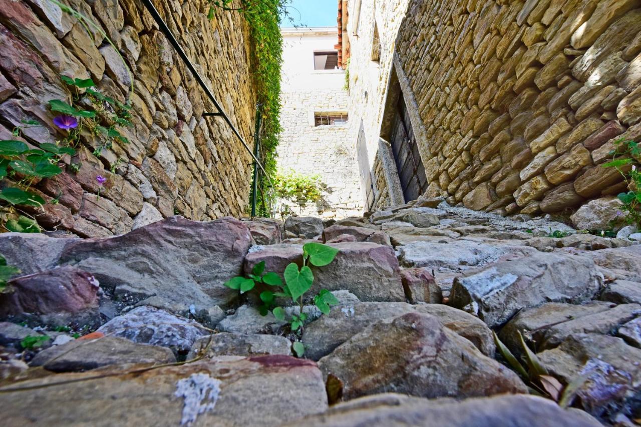 Villa Fragola Motovun Buitenkant foto